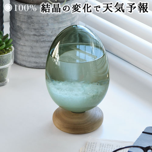 �ƥ�ݥѥ륹�ɡ��� ���ȡ��॰�饹 Tempo Pulse DAWN