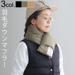 ���å��� ������ �ޥե顼 AS2OV DOWN MUFFLER