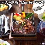 ͤŴ Ŵľ դ [OTS8100]