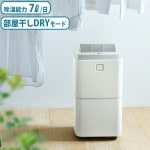 쥳  recolte Dehumidifier RDH-1