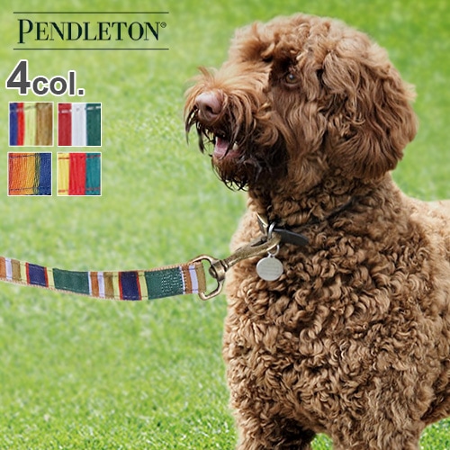 ڥɥȥ ϥ ɥå ꡼ PNDLETON Hiker Dog Leash