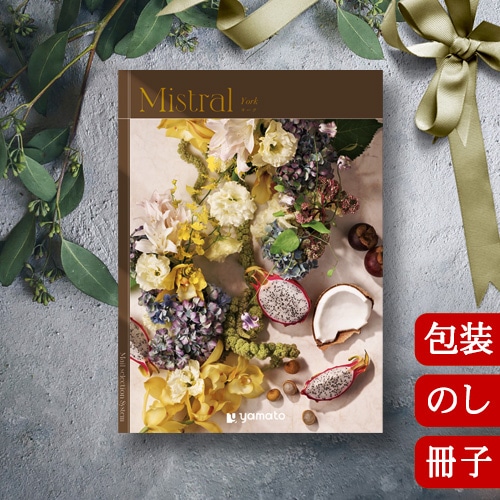 �����������ե� �ߥ��ȥ�� �衼�� [���ҥ�����] Mistral York 2503121