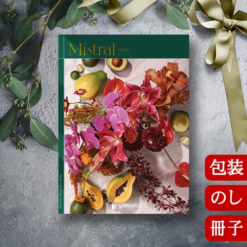 �����������ե� �ߥ��ȥ�� �����֥� [���ҥ�����] Mistral Sable 2503124