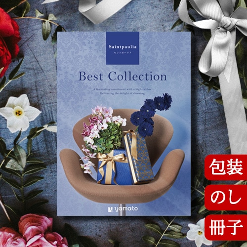 ٥ȥ쥯 ȥݡꥢ Best Collection Saintpaulia 2502316