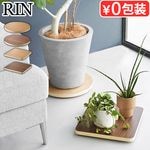 ¶  RIN ƥꥢ [饦 / ] 10062 10063 10064 10065