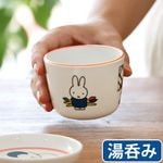 Miffy Museum Series ߥåեȤӤĤ󥷥꡼ [ CM-11AAG-R ݤ ]