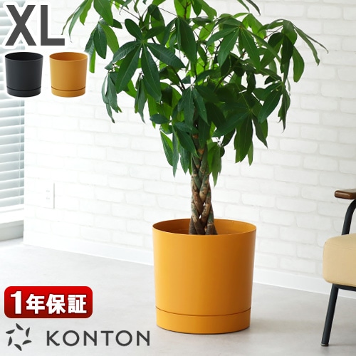 KONTON PROSPER ץѡ ȥ XL