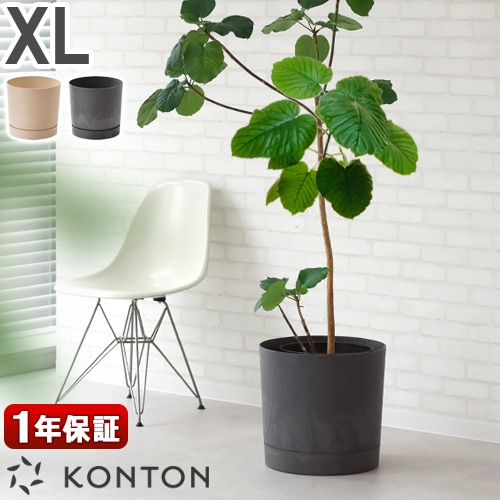 KONTON PROSPER ץѡ ȥB XL