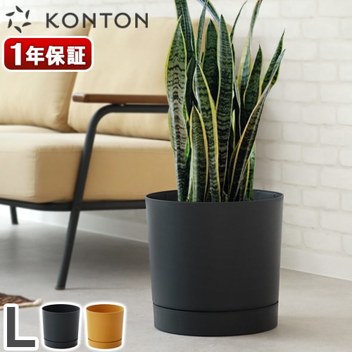 KONTON PROSPER ץѡ ȥ L