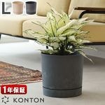 KONTON PROSPER �ץ����ѡ� �ȥ�����B L������