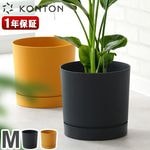 KONTON PROSPER �ץ����ѡ� �ȥ����� M������