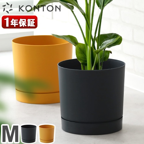 KONTON PROSPER ץѡ ȥ M