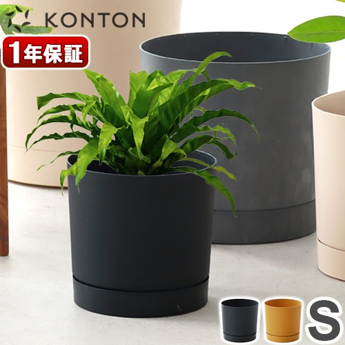 KONTON PROSPER ץѡ ȥ S