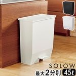 SOLOW ������ �ڥ��륪���ץ� [ �磻�� 45L ]
