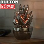 ����ȥ� �ݡ������ �饤�� [ ������ / �������� ] DULTON Porcelain light ALOE