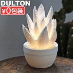 ����ȥ� �ݡ������ �饤�� [ ������ / �ޥåȥۥ磻�� ] DULTON Porcelain light ALOE