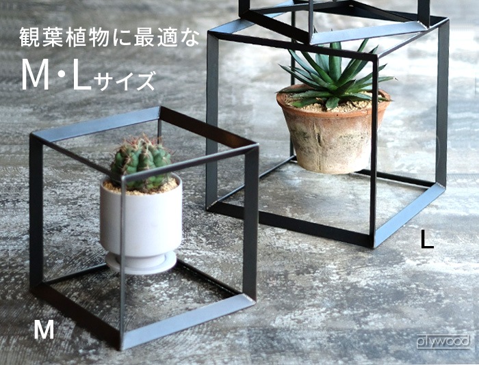 ȥӥåȡ硼 å 塼ӥå ܥå WEST VILLAGE TOKYO ODD CUBIC BOX (L)