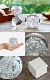 �ڥ����ꥨ��� ��֥��饹 �ڡ��ѡ��������� [1] ���η� S������ Perrocaliente SECCA
