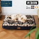 ڥɥȥ PENDLETON Medium JQ Nappers / Falcon Cove Nappers