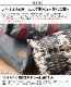 ڥɥȥ PENDLETON Medium JQ Nappers / Falcon Cove Nappers