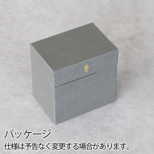 �ե����� ���å� ��� Floyd Cup Ring