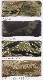 �Хꥹ�ƥ����� ���С����å���� �º� BALLISTICS LUMBAR CUSHION BAA-2304