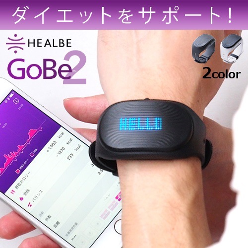 ӡ HEALBE GoBe2