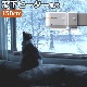 ���ʥ�����ɡ��饸�������� window radiator ��ܥ����� 150cm[W/R-1500] �ۥ磻��