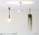 BRID LIGHTING DUCT RAIL with LED Basic