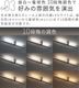 BRID LIGHTING DUCT RAIL with LED Basic