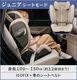 �����٥å��� �ѥ饹G3 cybex PALLAS G3