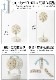 �֥롼�� DC�ե�����ǥ��󥰥ե����ե��� BOE112