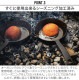 �٥��ܡ��� �����륤���� ���㥹�ȥ������� ������å� 10����� BAREBONES All-In-One Cast Iron Skillet - 10"