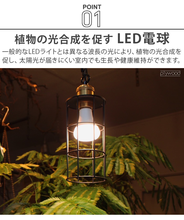 �ץ��� �饤�� BRID PLANTS LIGHT 60 [WARM / COOL] 003380 003382