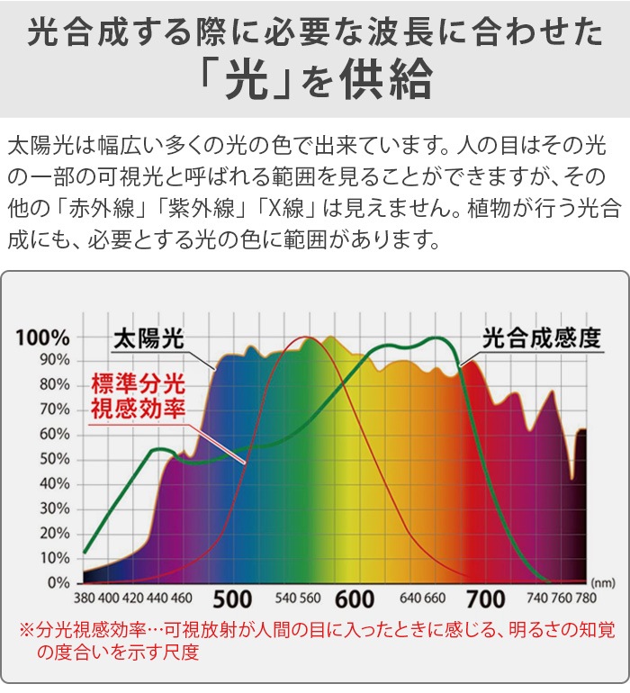 �ץ��� �饤�� BRID PLANTS LIGHT 60 [WARM / COOL] 003380 003382