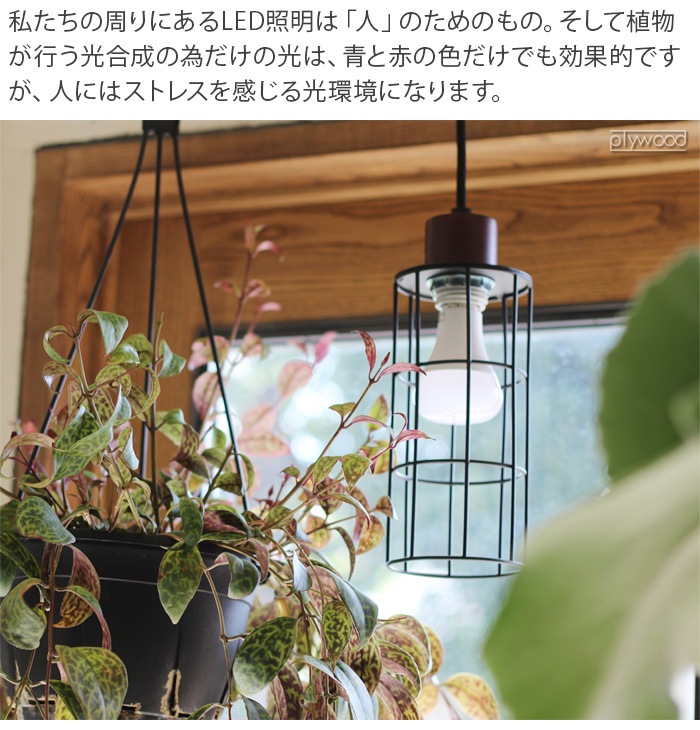 �ץ��� �饤�� BRID PLANTS LIGHT 60 [WARM / COOL] 003380 003382