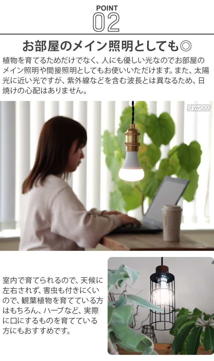 �ץ��� �饤�� BRID PLANTS LIGHT 60 [WARM / COOL] 003380 003382