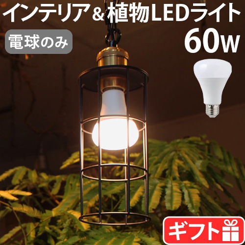 �ץ��� �饤�� BRID PLANTS LIGHT 60 [WARM / COOL] 003380 003382