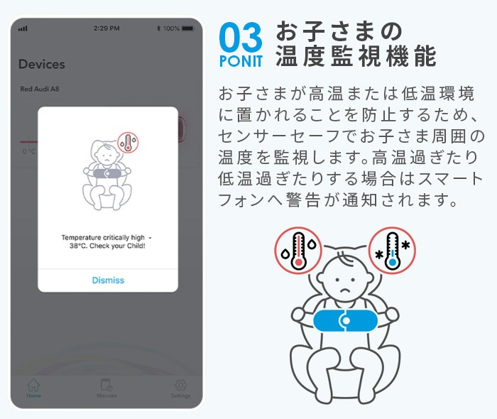  ٥å 󥵡 [ ե / 饦ɡȥ ꡼б ][ ȥɥ顼 /  ꡼б ]