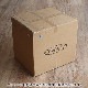 �ǥ����饤�� ���������� �����顼�ܥå��� �ۥ������դ� 45QT / ��42L Deelight iceland Cooler Box ver.2