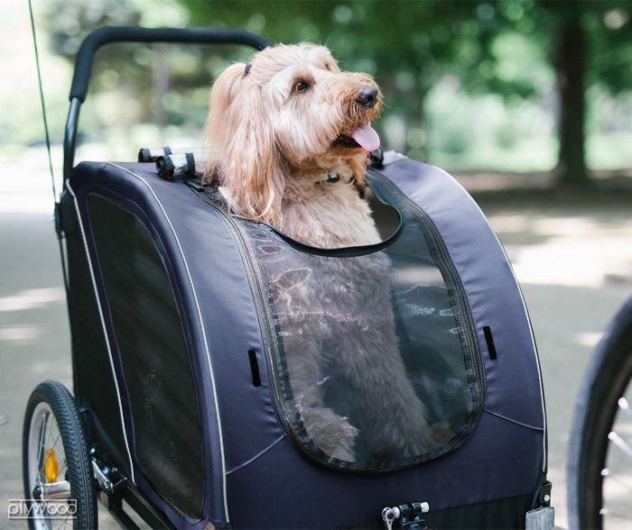 ������ �����Х��� �ͥ��ȥХ��� �ڥå� �ɥå������� AIRBUGGY CUBE NEST BIKE