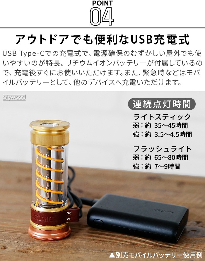 ٥ܡ  饤ȥƥåLED BAREBONES EDISON LIGHT STICK