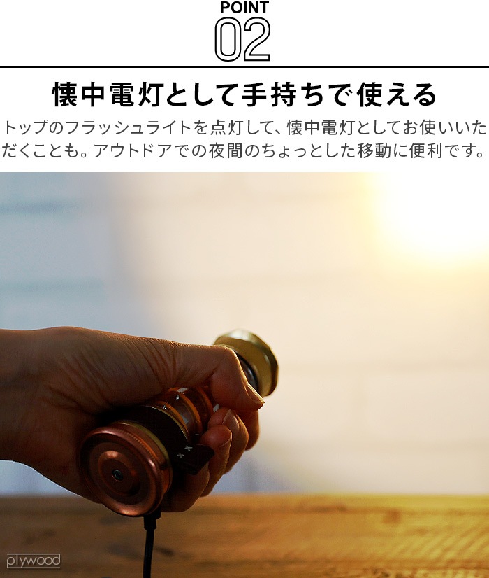 ٥ܡ  饤ȥƥåLED BAREBONES EDISON LIGHT STICK