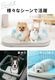 AIRMON Pet �ڥå���������������ޥå� �顼��������