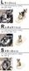 AIRMON Pet �ڥå���������������ޥå� �顼��������