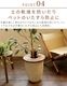  ץĥơ֥ [30] Jardin PLANTS TABLE CIRCLE MHO-PT30C