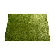 BRID NEW GRASS RUG SQUARE 90x130 �֥�å� �˥塼 ���饹 �饰 ��������