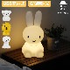 ߥޥꥢ եȥ饤 ߥåեɥե Mr Maria FIRST LIGHT miffy and friends