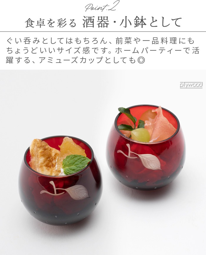�ե����� ���;˻� ��� 1pc ñ��