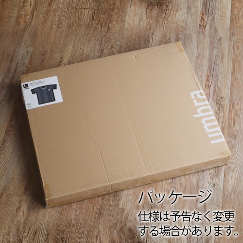 ����֥� �ƥ����ե졼�� �ǥ����ץ쥤 M������ umbra T-FRAME DISPLAY